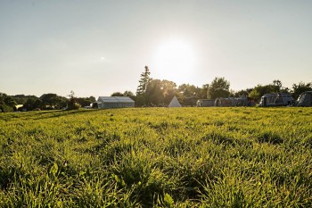 Kreativfreizeit auf Hof Balm - Teppich aus Rohwolle - ungek&auml;mmt/ ungewaschen Beispiel 3