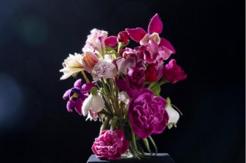 FINDET NICHT STATT !!! Bl&uuml;tenpracht Beispiel 3