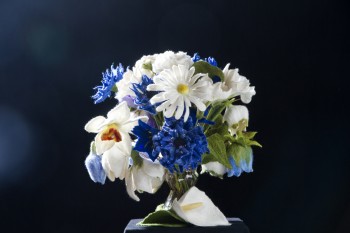 FINDET NICHT STATT !!! Farbenfrohe Bl&uuml;ten f&uuml;r die Seele Beispiel 3