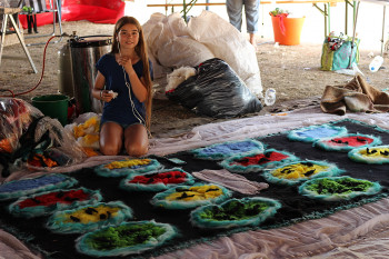 22. Altmarkfilzcamp Beispiel 2