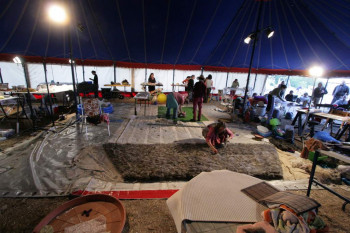 22. Altmarkfilzcamp Beispiel 6